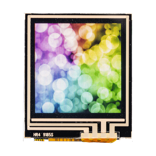 Featured Image